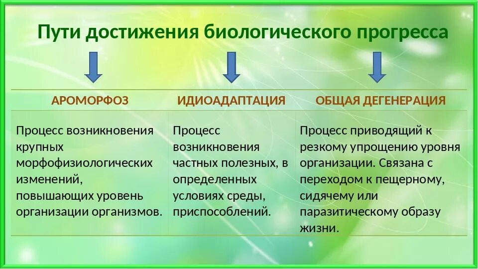 Направление биологического прогресса ароморфоз