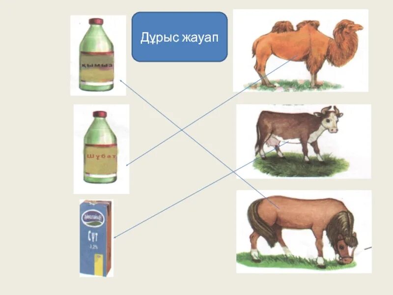 Әдебиеттік оқу 2 сынып 52 сабақ. Төрт түлік для детей. Төрт түлік мал буклет. Төрт түлік мал картинки. Фото төрт түлік.