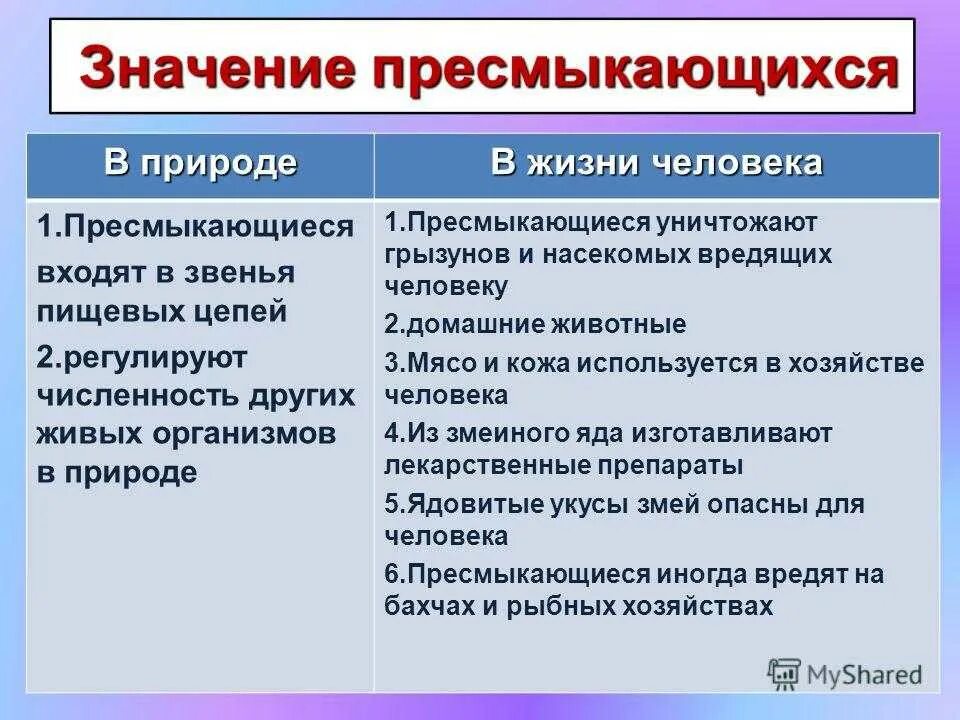 Аргументируйте вывод о происхождении рептилий. Значение пресмыкающихся в природе и жизни человека. Роль пресмыкающихся в природе. Значение рептилий в природе и жизни человека. Значение пресммыкающих.