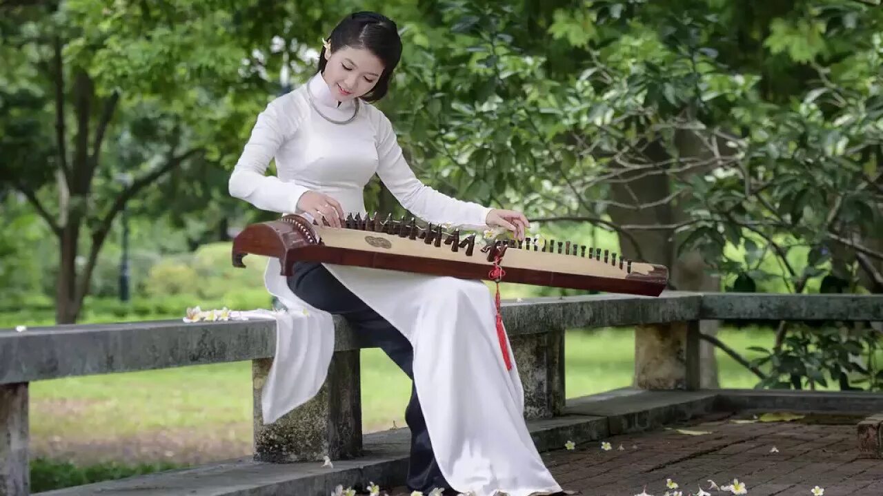 Гучжэн цитра. Гучжэн музыкальный инструмент. Гучжен китайский инструмент. Вьетнамские музыкальные инструменты.