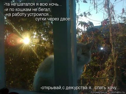 Не беги по тусовкам не шатайся