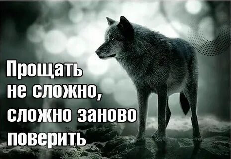 Прости не доверял