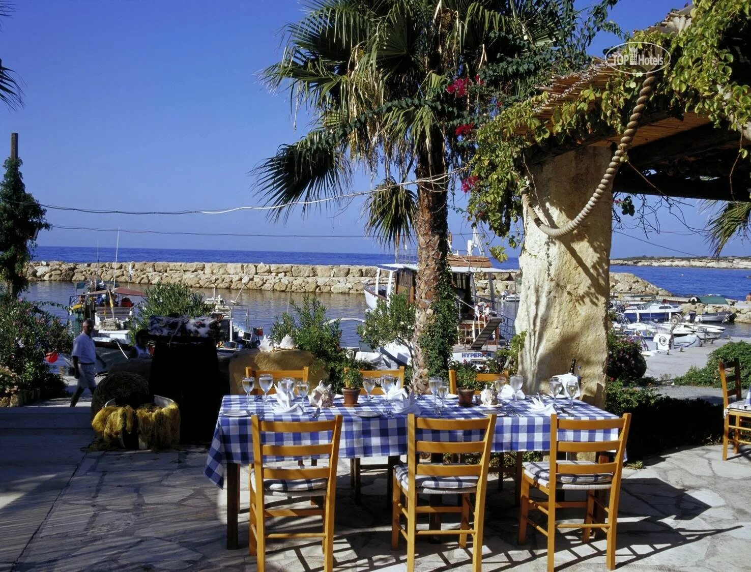 Coral beach hotel resort. Корал Бич отель Пафос Кипр. Coral Beach Hotel & Resort 5*. Кипр Корал Бич 5 Пафос. Ascos Coral Beach 4 Кипр Пафос.