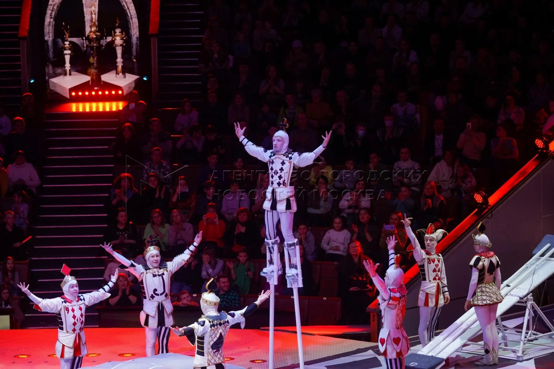 Подводный цирк в саратове. Циркач 2023. Циркач 2023. Циркач 2023. Циркач 2023.