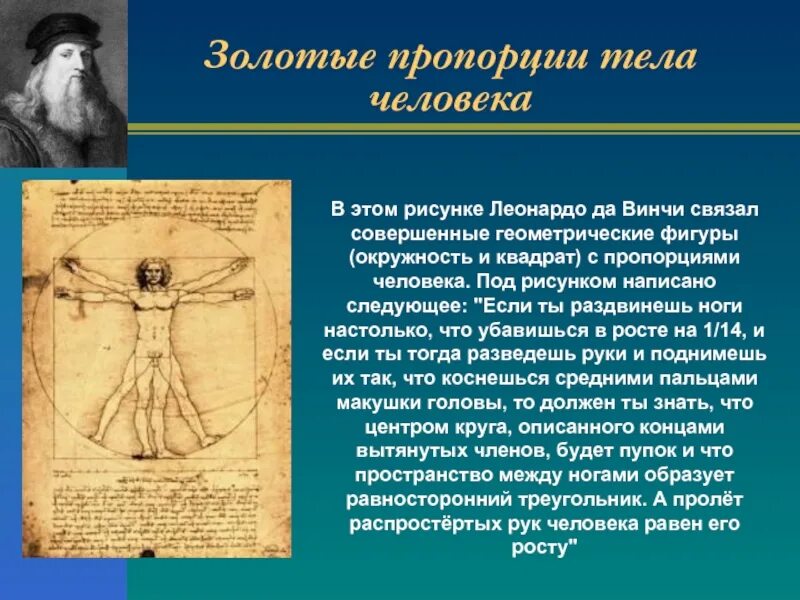 Загадочный мир пропорций проект Презентация "Пропорция вокруг нас" по математике скачать проект