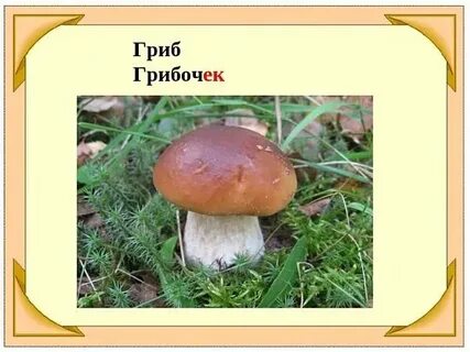 Какое окончание в слове гриб