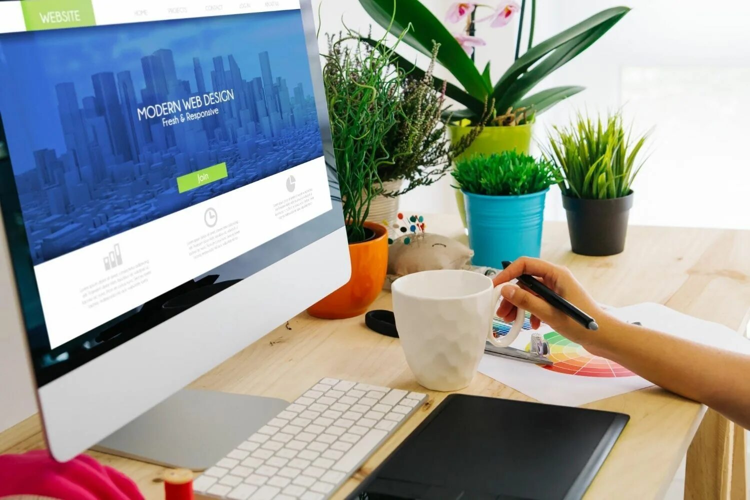 Web began. Web design for beginners.