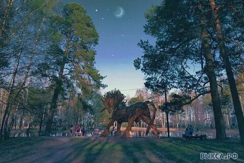 Выкса фото парка
