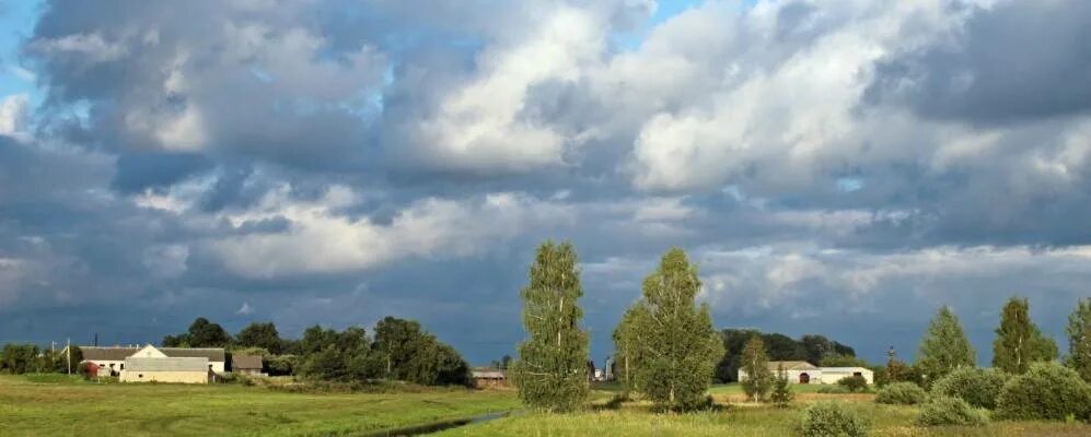 Деревня великая. Дер.большая слива Слуцкий район. Виктор самусевис деревня слива Слуцкого района Минской области.