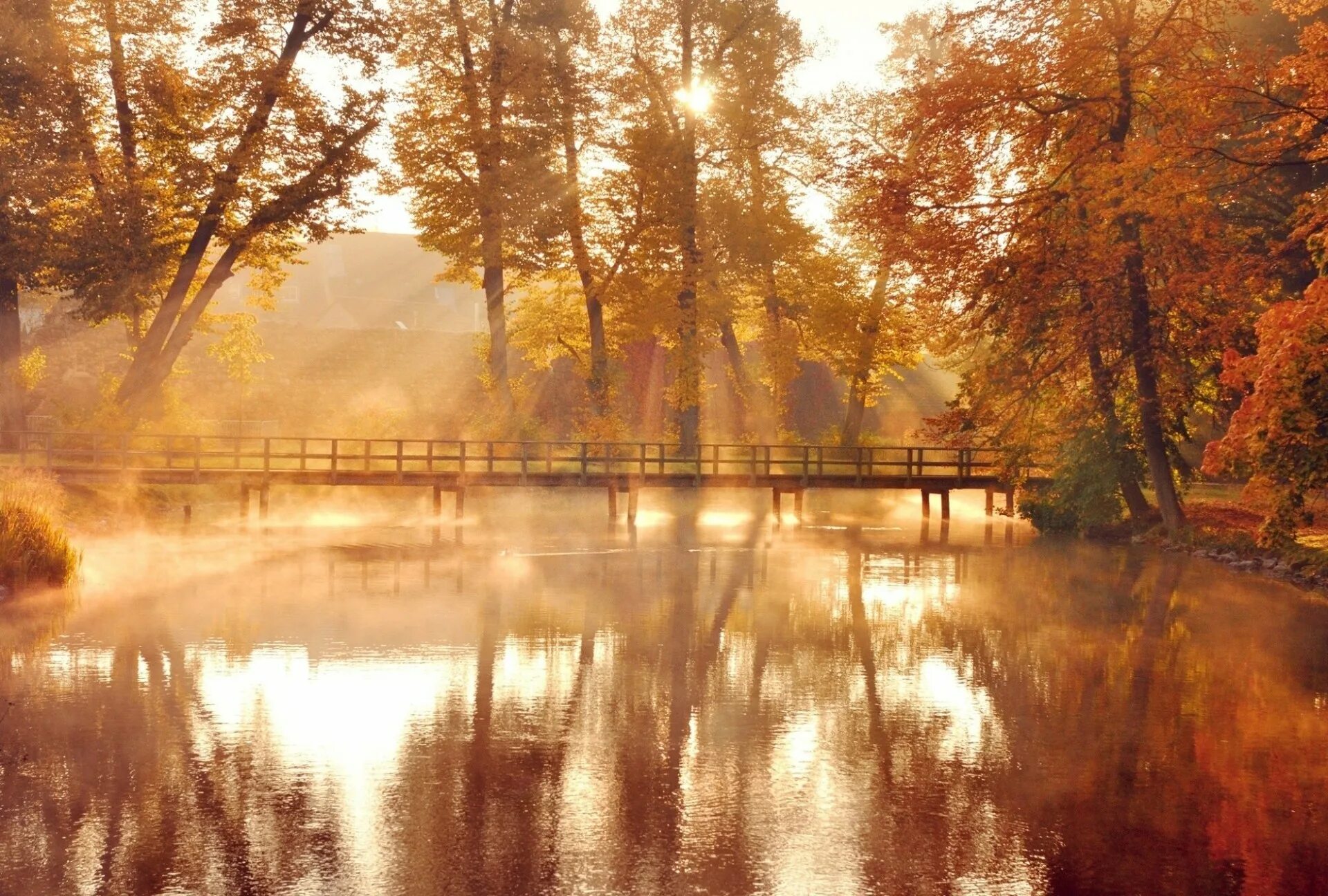 Осеннее утро картинки красивые. Пейзаж в коричневых тонах. Осенний пейзаж. Осень река солнце. Пейзаж в осенних тонах.