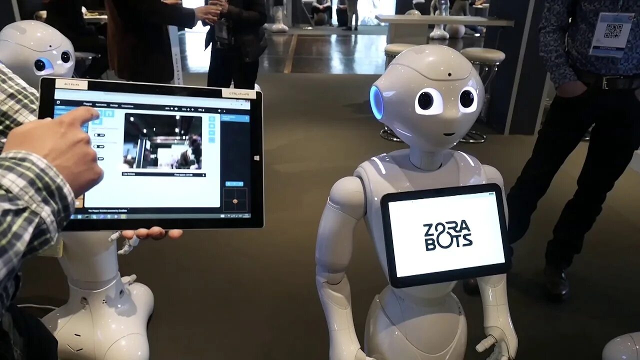 World pepper. Робот дворецкий Пеппер. Zorabots. Pepper робот в ресторане. Робот Юля.