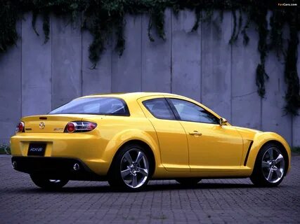 Yellow 8