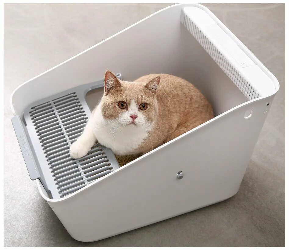 Какой лоток для котенка. Лоток для кошек xiaomi petkit. умный кошачий лоток xiaomi catlink lite. умный кошачий туалет xiaomi petkit. лоток для кошек xiaomi semi-open cat litter.