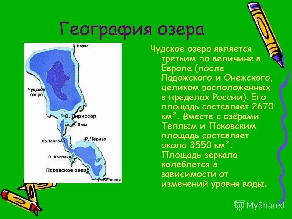 Чудское озеро откуда название. Чудское озеро географическое положение. Сообщение про Чудское озеро. Чудское озеро география. Реки впадающие в Чудское озеро.