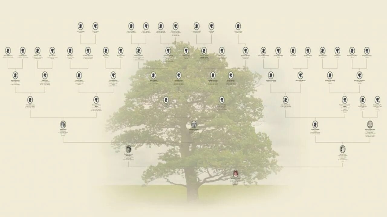 Семейное Древо Family Tree Builder. Генеалогическое дерево в стиле Минимализм. MYHERITAGE семейное дерево. Семейное Древо Gucci.