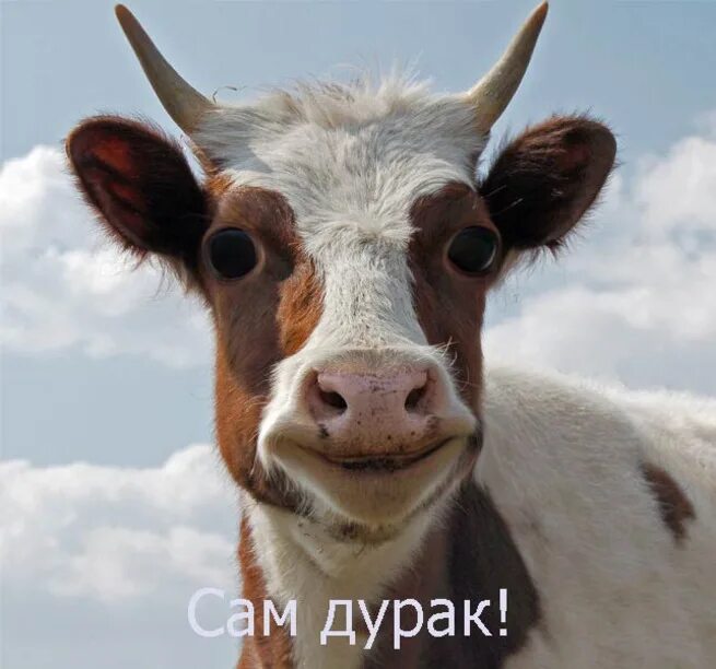 Оного раз