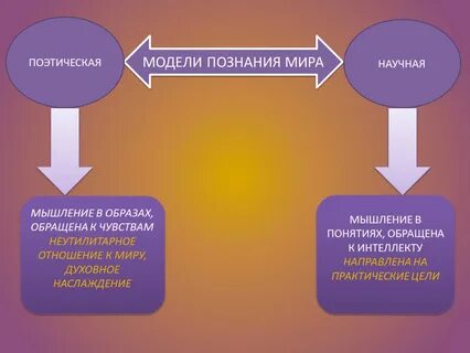 Цель философского познания
