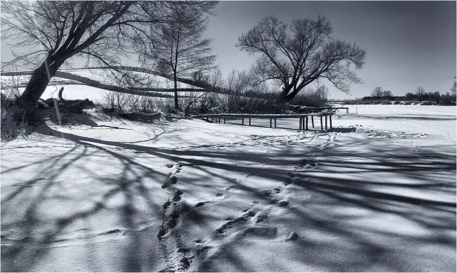 Winter shadows. Winter shadows