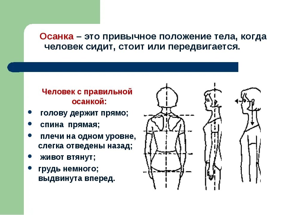 Как правильно держать голову. Осанка. Правильная осанка. Правильная осанка у человека. Правильное расположение осанки.