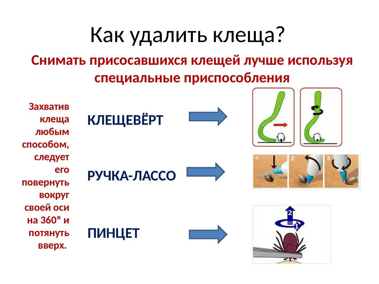 Клещ удалить в домашних