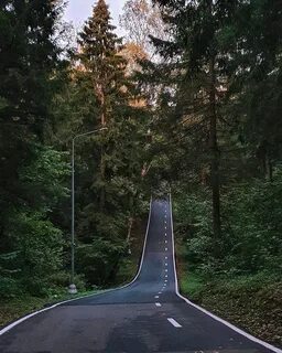 Лазутинский парк в одинцово