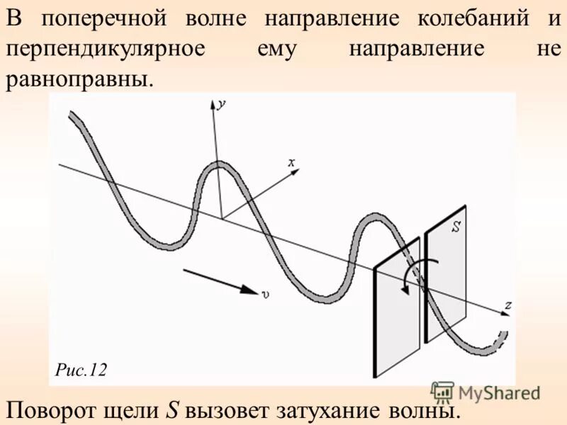 поперечные волны направление колебаний. поперечные волны направление колебаний. поверхностные волны. волны продольные и продольно-поперечные. поперечные волны направление колебаний.