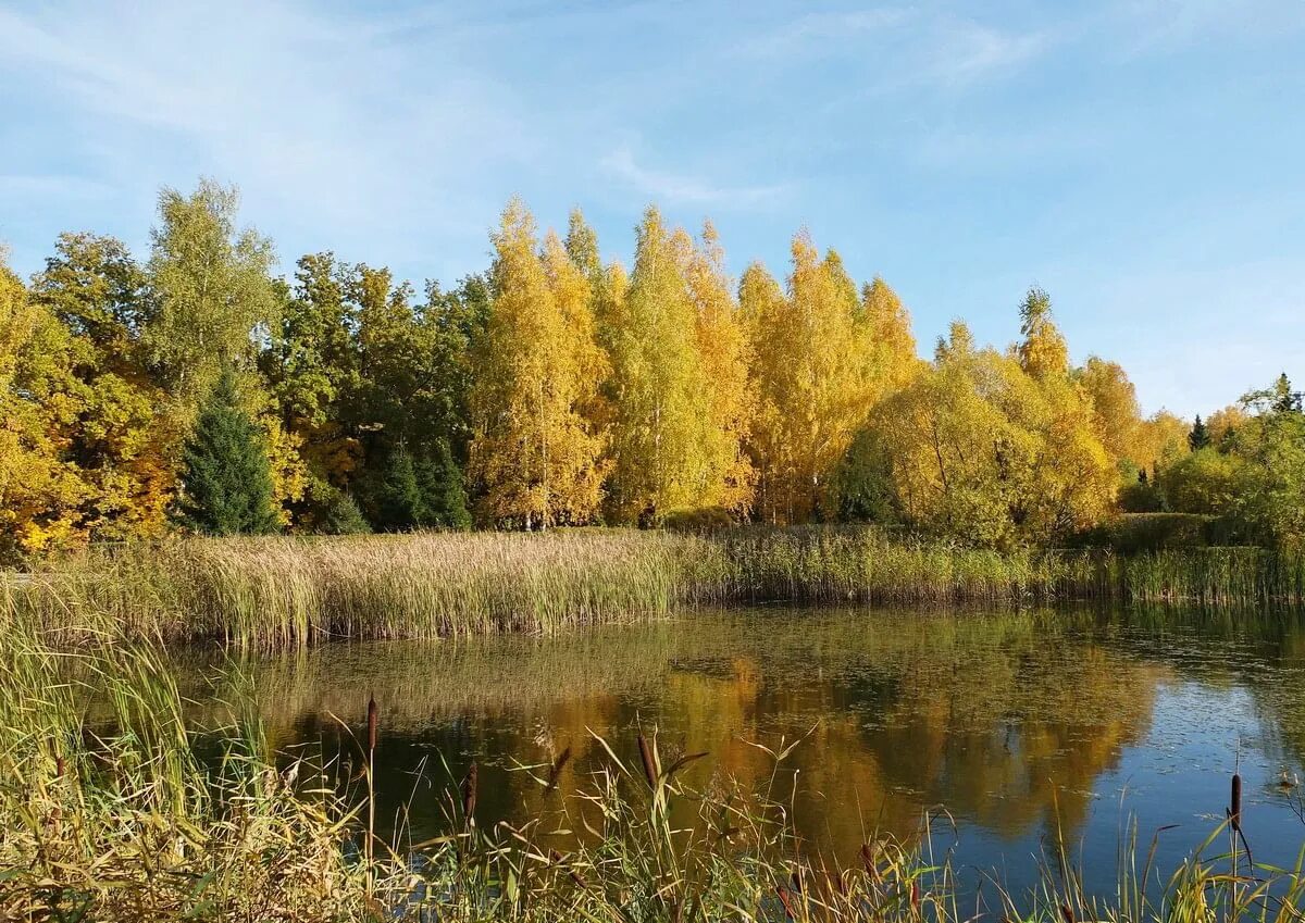 Природного родного края