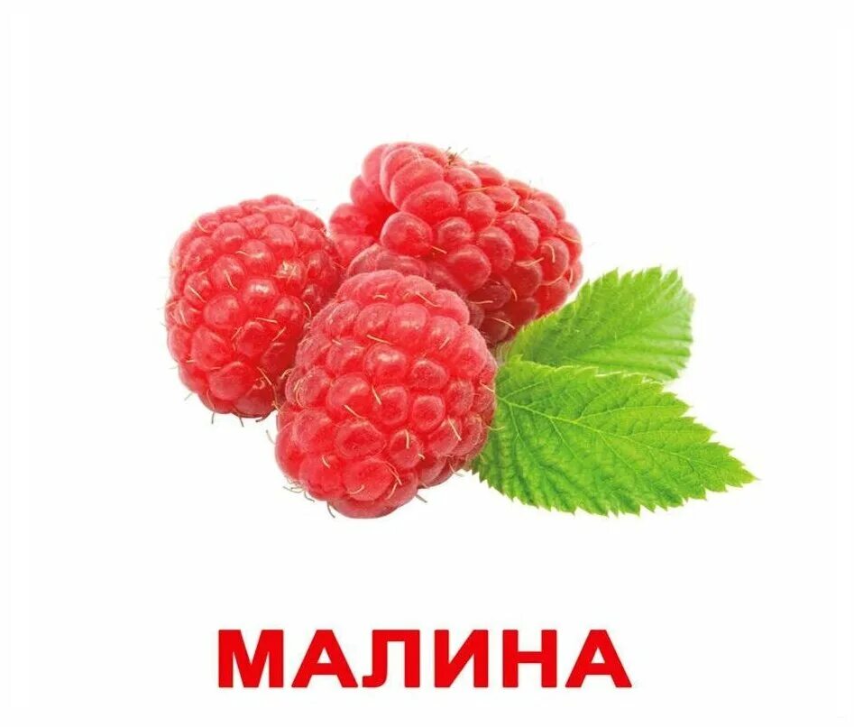 Малина буквы звуки. Карточки Домана малина. Набор карточек вундеркинд с пелёнок ягоды. Карточки Домана ягоды. Карточки ягоды для детей.