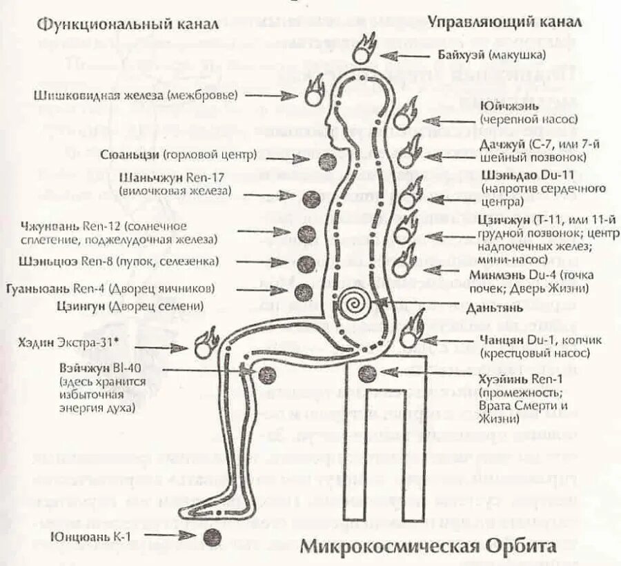 Горловой центр. Микрокосмическая Орбита Мантек чиа. Микрокосмическая Орбита цигун. Цигун Микрокосмическая Орбита техника выполнения. Схема циркуляции энергии Ци.