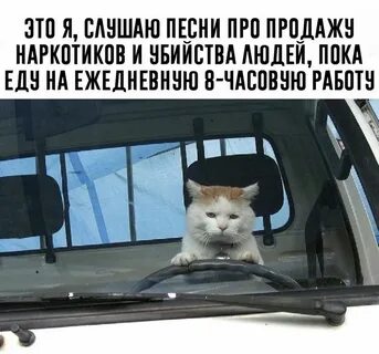 Выходные поеду