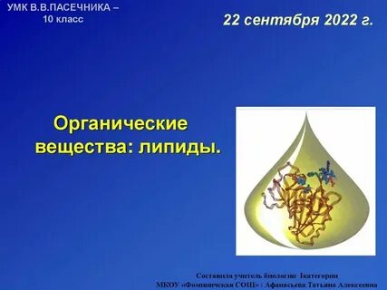 Органические вещества общая характеристика липиды 10 класс