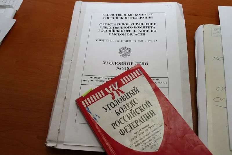 Судьба уголовного дела. Уголовное дело. Уголовное дело документ. Уголовное дело фото обложки. Уголовное дело папка образец.