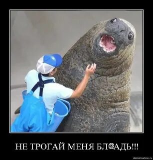 Не трожьте ее