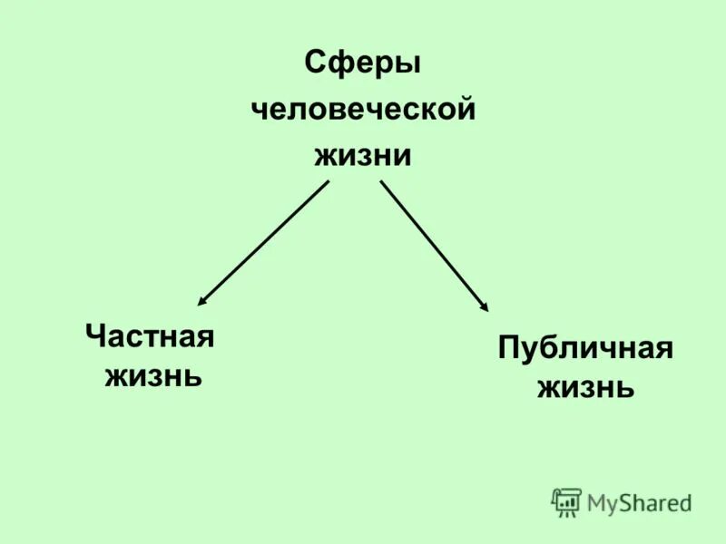 Общество 9 класс проверь себя. Сферы человеческой жизни. Частная и публичная жизнь. Главная и частная тема. Частная жизнь и общественная.