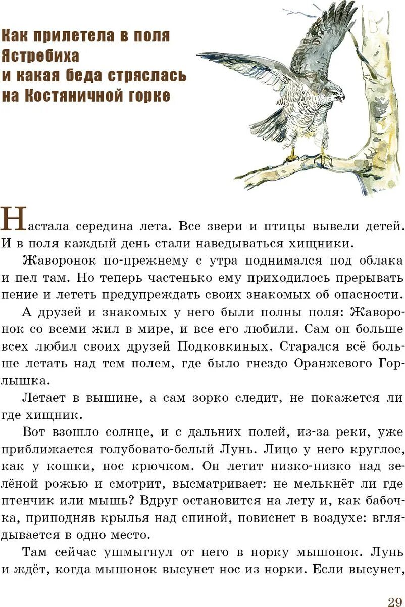 В В Бианки оранжевое горлышко Мурзук сказки. В В Бианки оранжевое горлышко Мурзук текст. Бианки рассказ оранже горлышко. В в бианки оранжевое горлышко мурзук