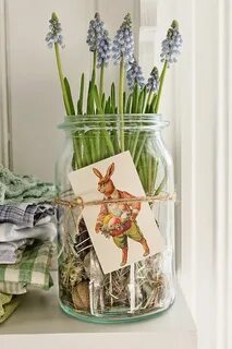 Idea spring