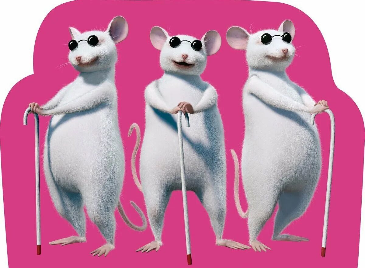 3 часть 3 мышей. Три Слепые мыши Шрек. Слепые мыши из Шрека. Мыши из Шрека. Три крысы из Шрека.