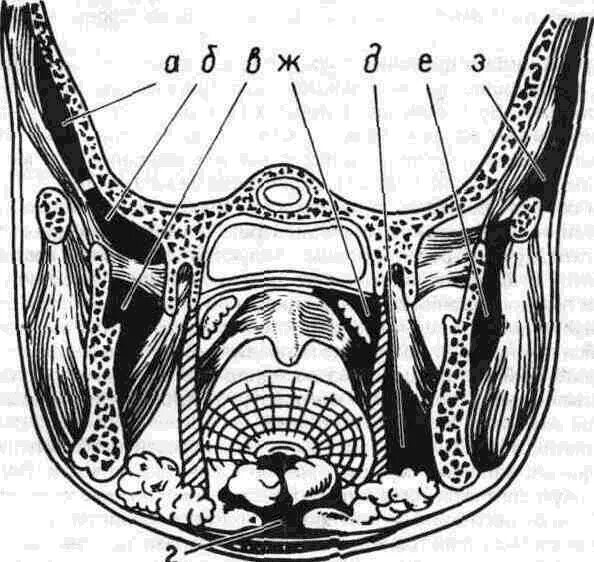 Пространства дна полости рта. Крыловидно нижнечелюстное клетчаточное пространство. Окологлоточное пространство топографическая анатомия. Клетчаточные пространства дна ротовой полости. Клетчаточное пространство нижней челюсти.