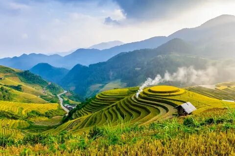 Phong