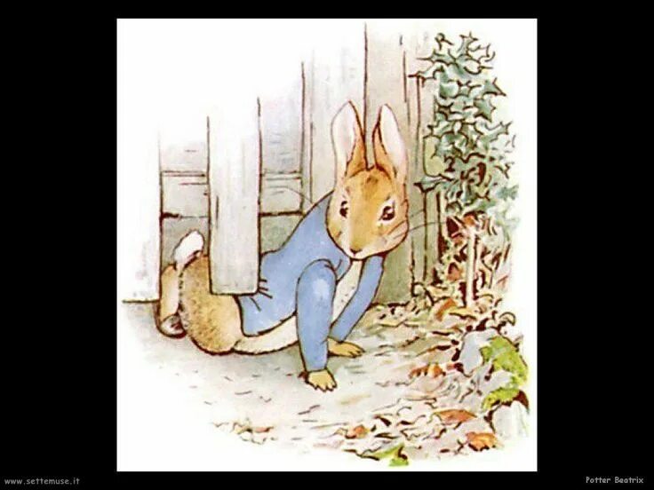 The tale of peter