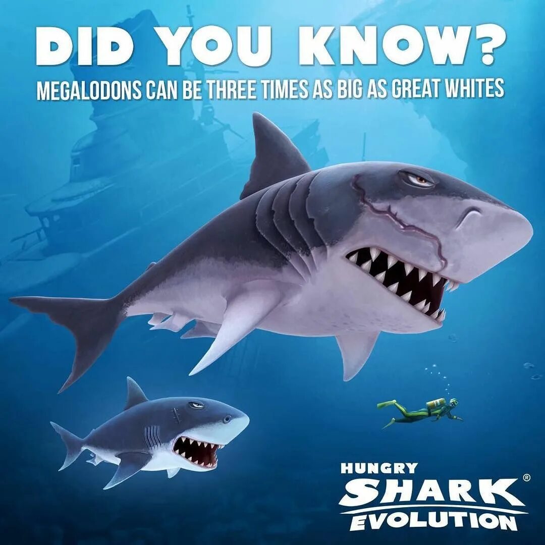 Мегалодон сервер. Хангри шарк мегалодон. hungry shark evolution мегалодон. hungry shark evolution megalodon. хангри шарк эволюшн большая белая акула.