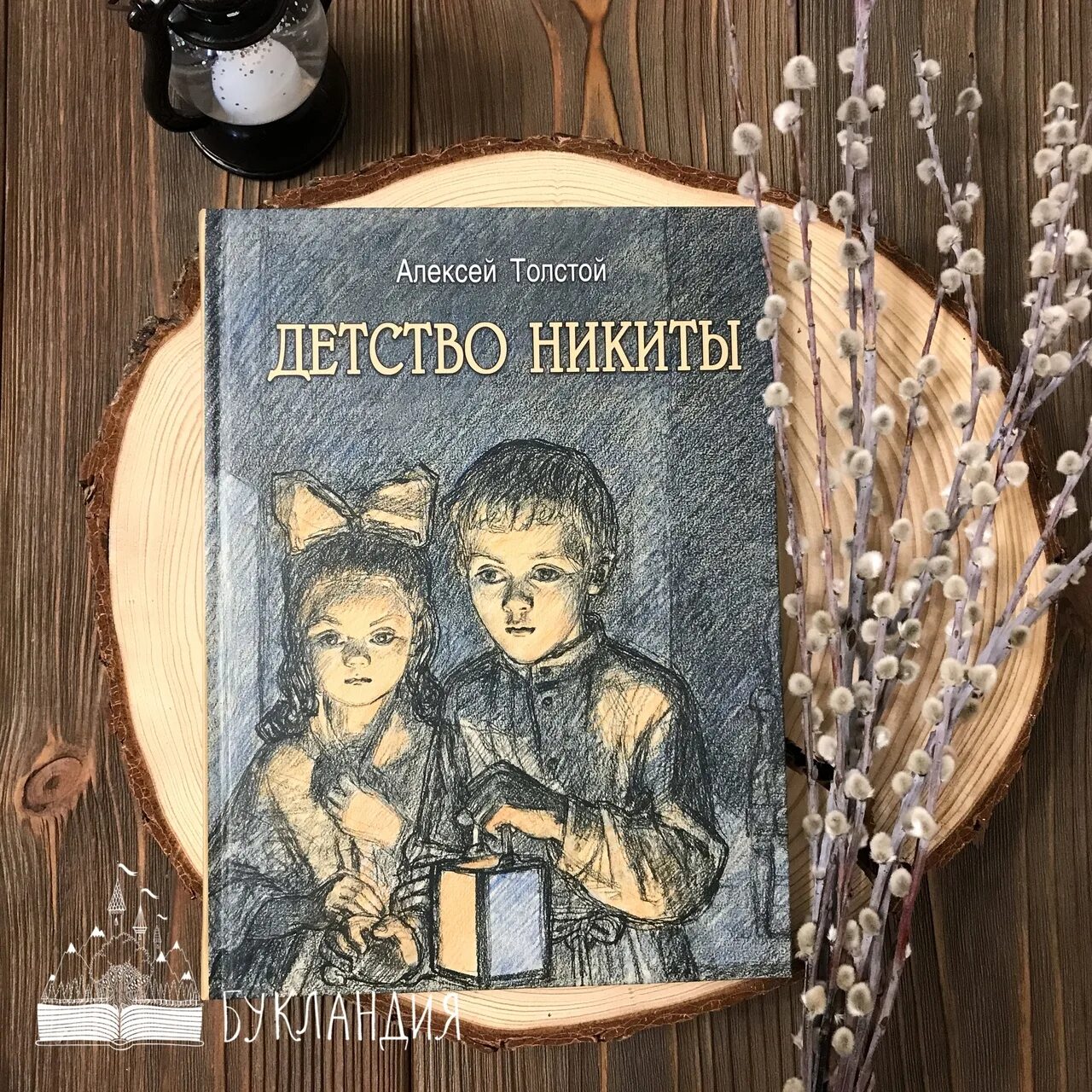 Читать книгу детство толстого