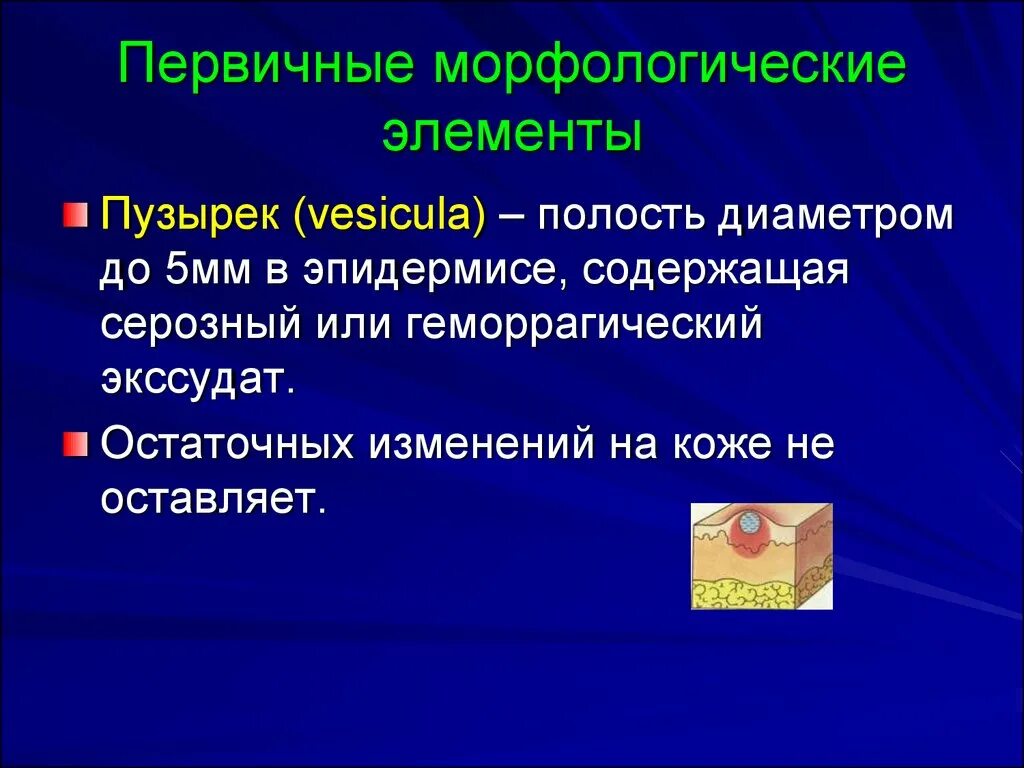 Что является первичным элементом. Волдырь первичный морфологический элемент. Первичные морфологические элементы. Вторичные морфологические элементы. Первичные морфологчиески еэлеиенты.