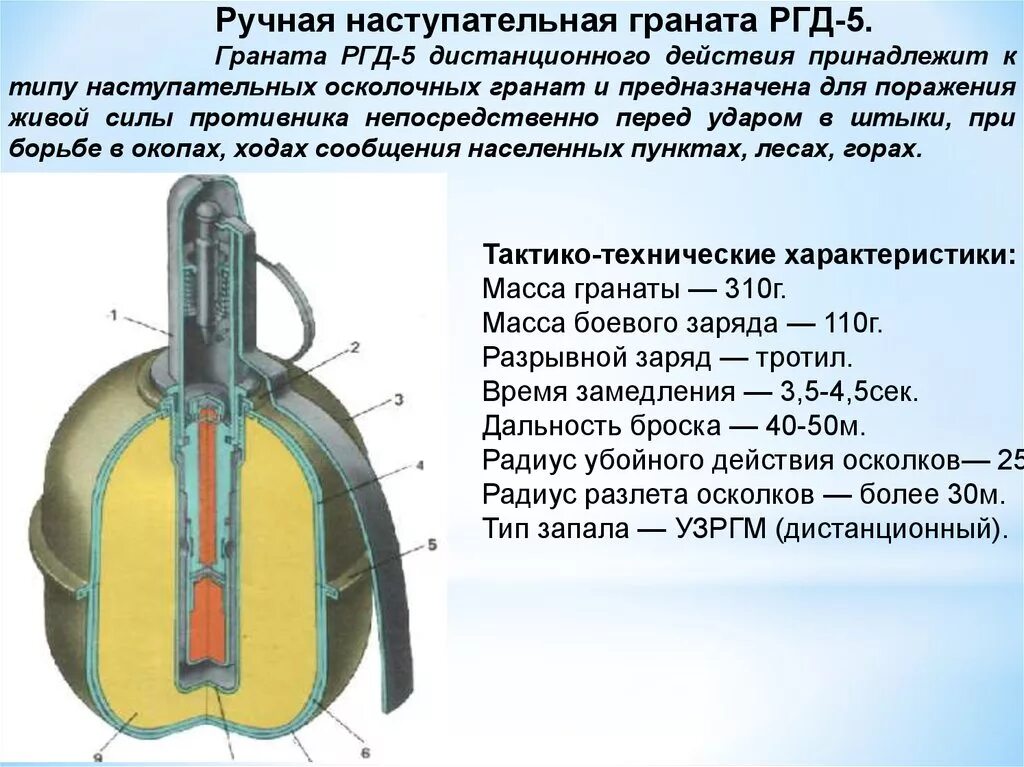 Устройство гранаты РГД 5 И ф1. Устройство ручной осколочной гранаты РГД-5.. Устройство ручных осколочных гранат РГД 5. Устройство ручных осколочных гранат РГД-5 И Ф-1.