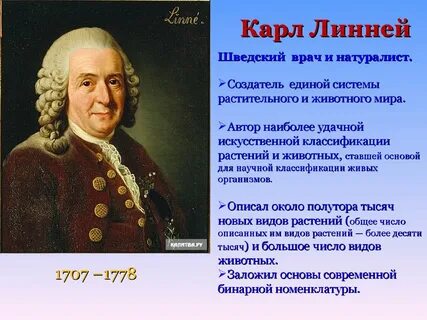 Линней теория эволюции