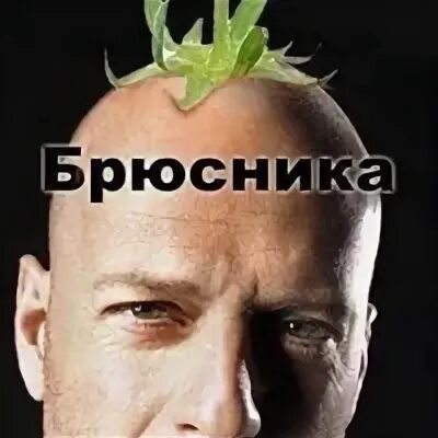 Брюс вылез