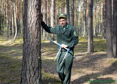 Лесные формы