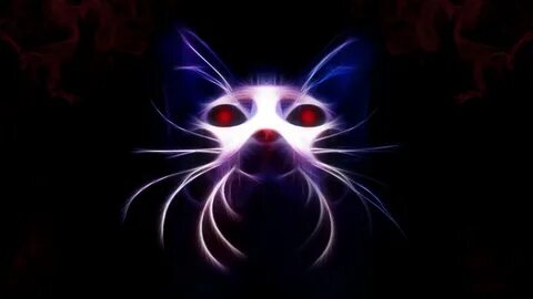 Коте фонк