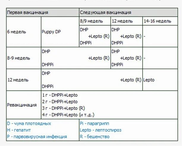 Сколько после прививки щенку можно гулять. Схема прививки Нобивак для щенков. Схема вакцинации щенков нобиваком. Нобивак прививка для собак схема. Прививки щенку Нобивак таблица.