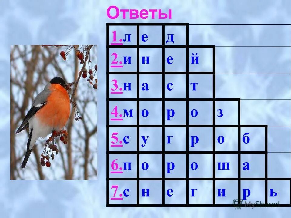 красногрудый снегирь зимняя птица. снегирь словарное слово. чернокрылый красногрудый и зимой найдёт приют не. снегирь спинка.